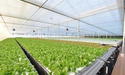 京东年货节送健康:健康食品和家电、在线问诊成春节必备品