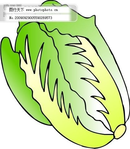 蔬菜卡通白菜图2 趣味白菜卡通图片欣赏